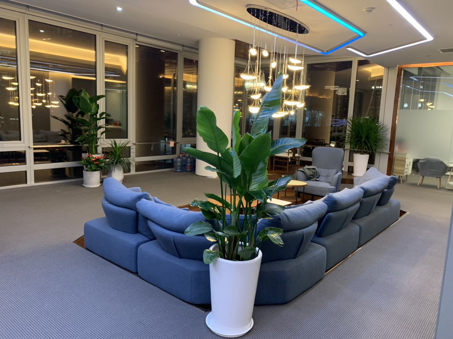 办公室绿植租摆案例