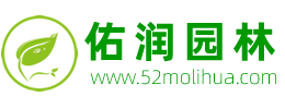绿植租摆