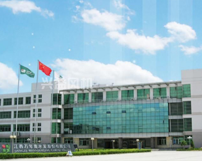 jiangxi wannianqing cement co., ltd. jiangxi wannianqing cement co., ltd.