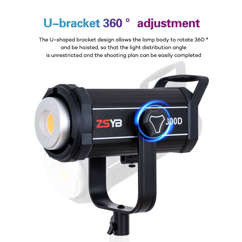 Y300D