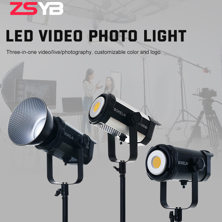 BK-300Bi （SILVER）