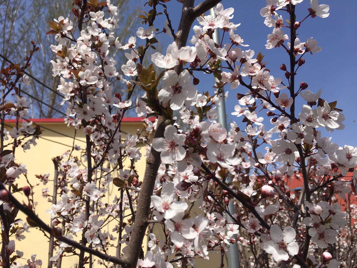 春季行车注意事项