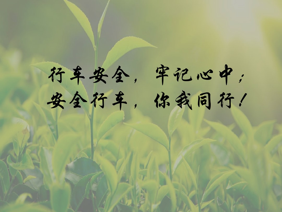 安全行车     你我同行