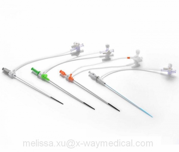 4Fr 5Fr 6Fr -10 French 9cm 11cm 23cm vascular guide wire introduction catheter, percutaneous femoral introducer sheath kit