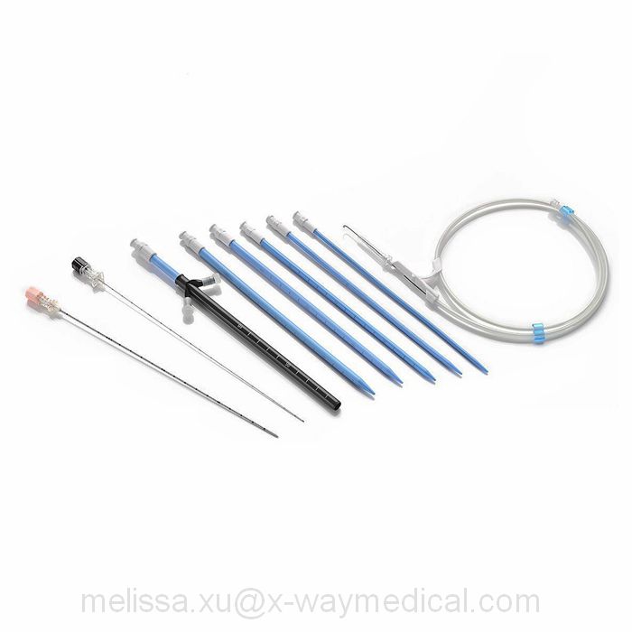 12 months Radiopaque Silicone Long-Term indwelling ureteral stent, 6F 7F 8F Soft silica long term visualize pigtail stent with marker and spray PTFE guide wire