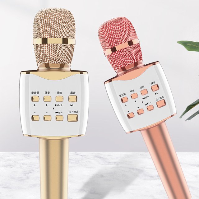 Portable Handheld Karaoke Player Wireless Handheld KTV Microphone