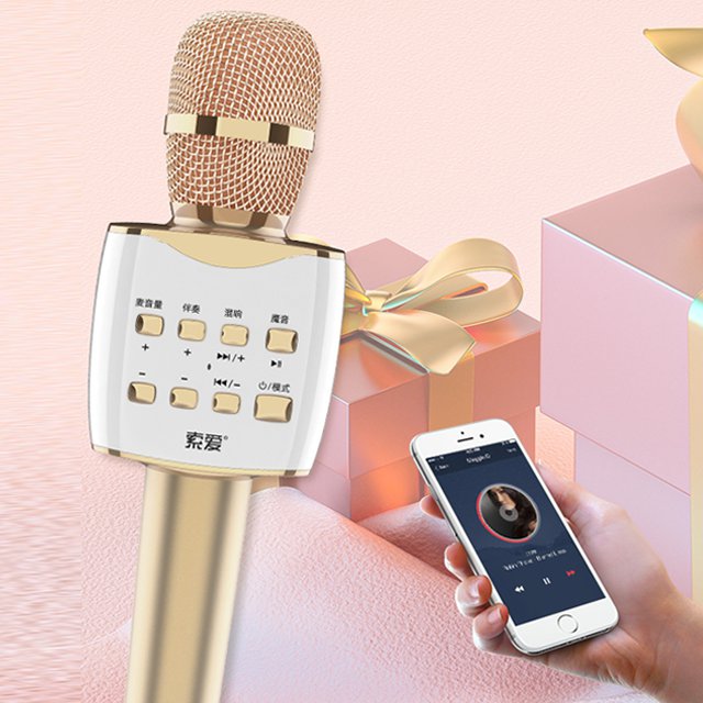 Portable Handheld Karaoke Player Wireless Handheld KTV Microphone