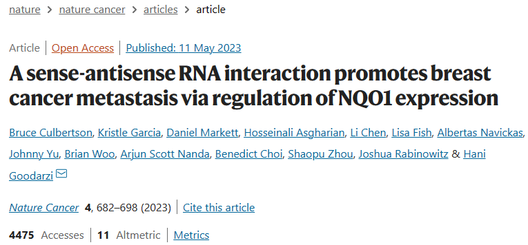 Nat Cancer丨一种asRNA相互作用通过调控NQO1表达促进乳腺癌转移