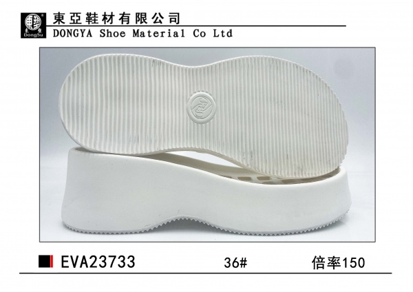EVA23733-36