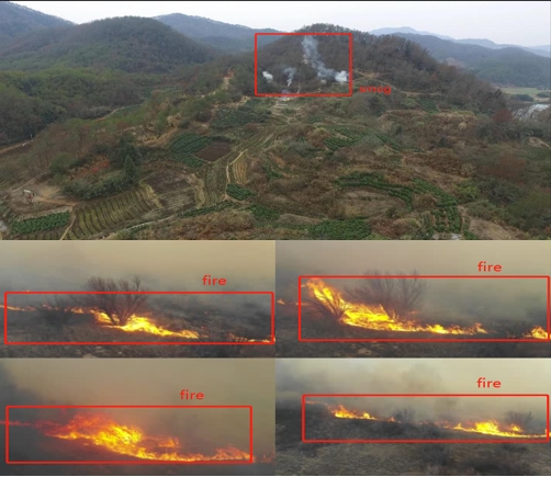 某林业管理局森林烟雾、明火巡检项目