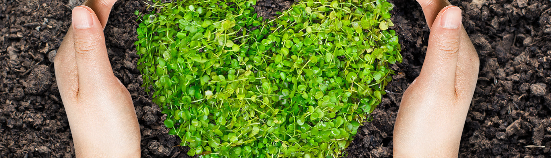 球盟会·(中国)-官方网站