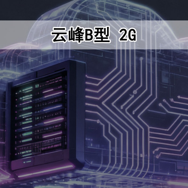 虚拟空间 云峰B型 2G