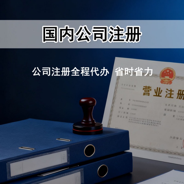 国内公司注册