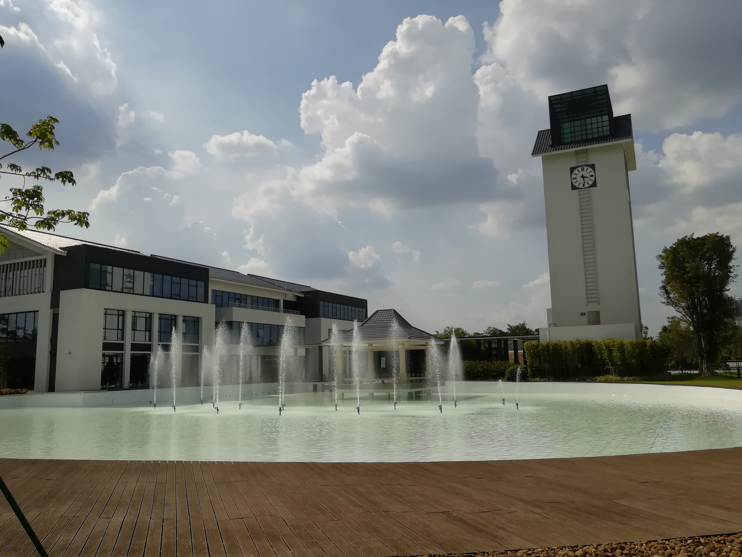 广州市净水有限公司石井净水厂污泥干化处理服务项目