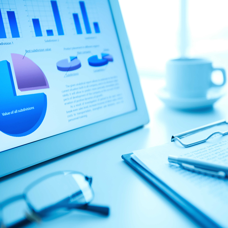 项目投资价值剖析