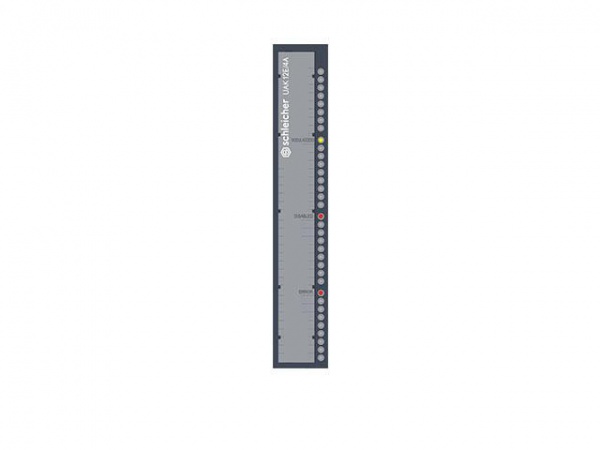 SCHLEICHER模拟模块UAK