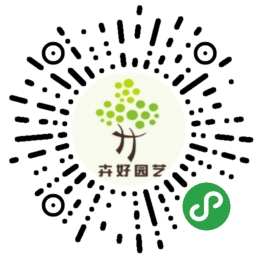 微信小程序