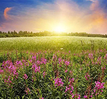 利来国际·w66(中国区)官方网站