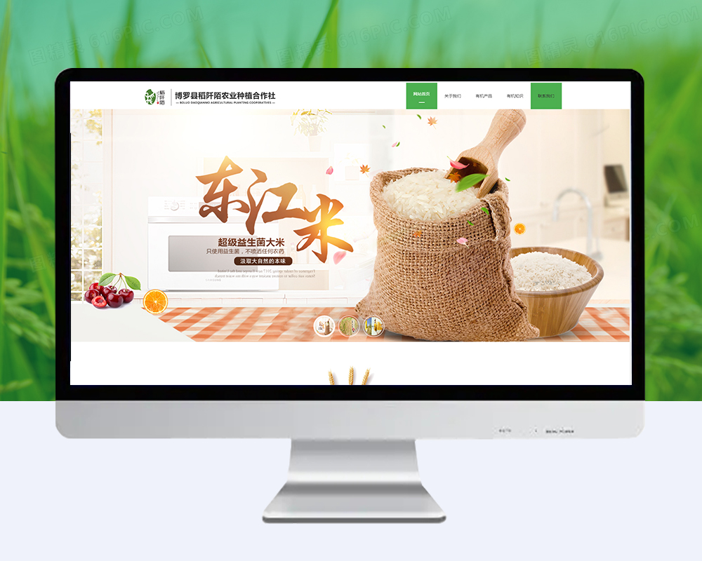 稻阡陌企业网站建设