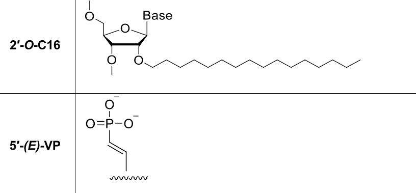 C16-siRNA/ASO合成,www.hippobiotec.com