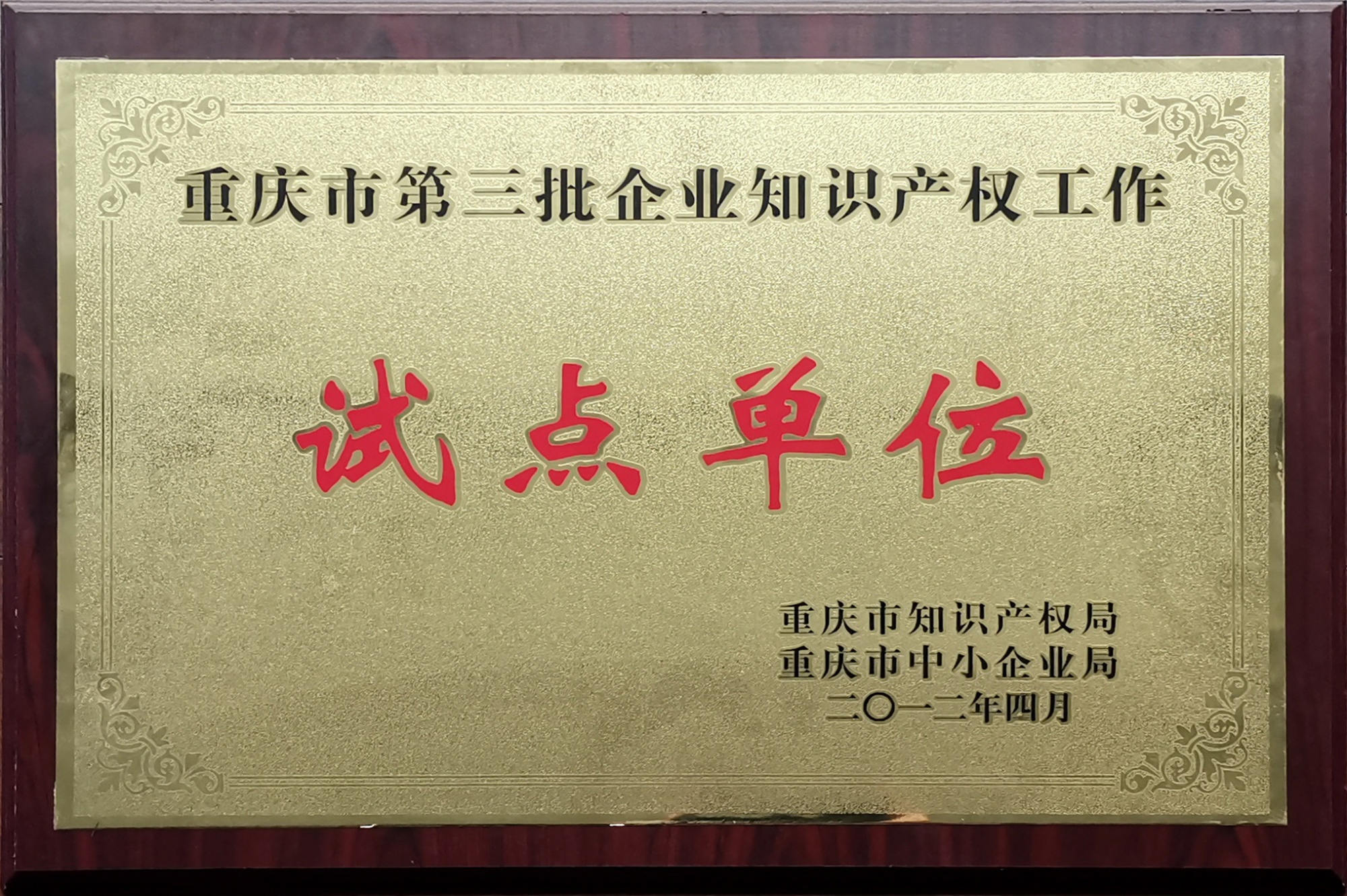 重庆市第三批企业知识产权工作试点单位
