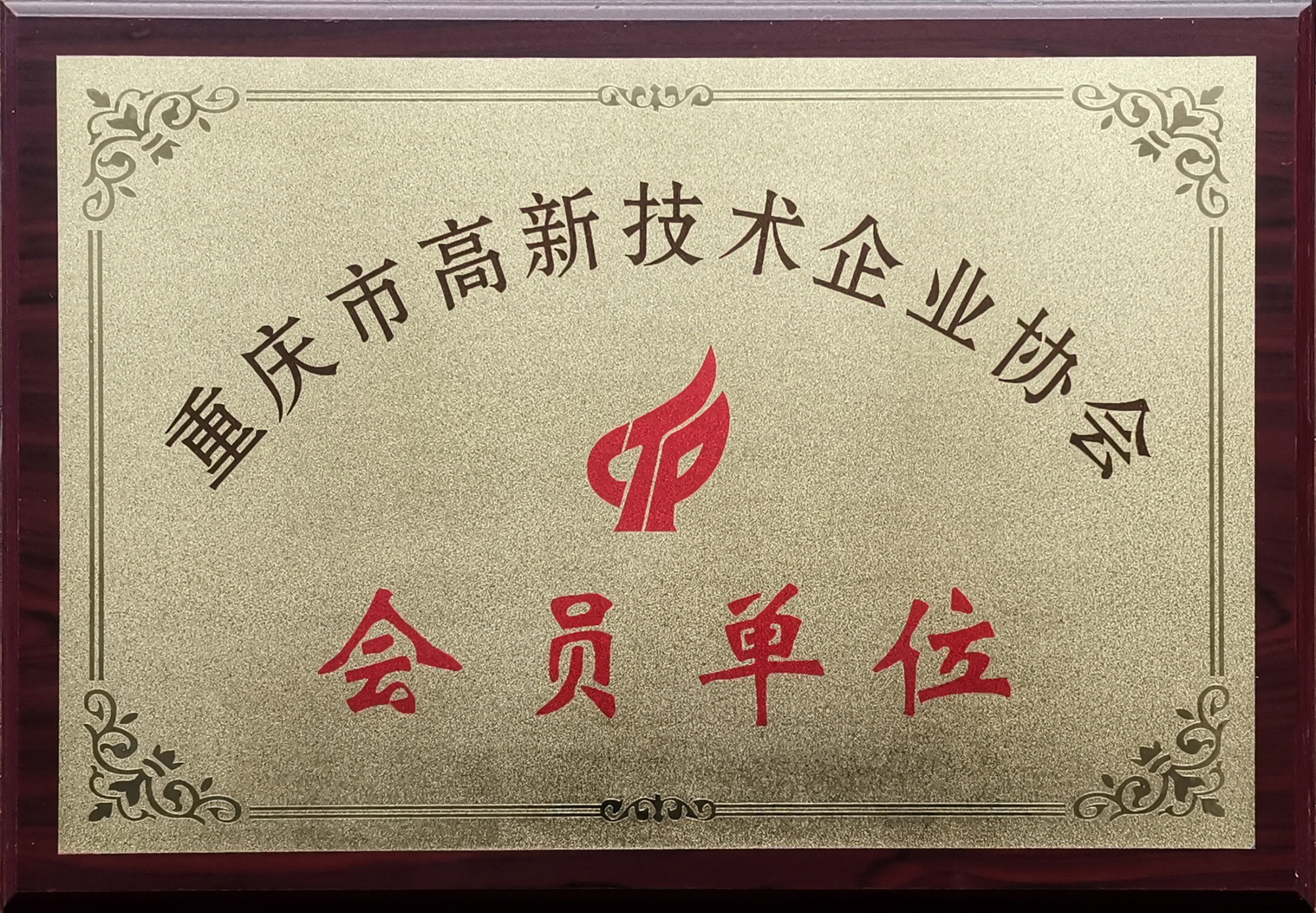 Member unit of Chongqing High tech Enterprise Association