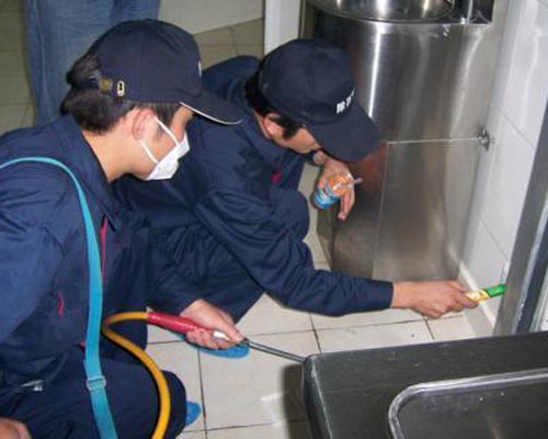 殺蟲人員在廚房殺蟑螂