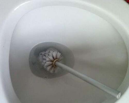 圖為(wei) 使用馬桶刷刷馬桶