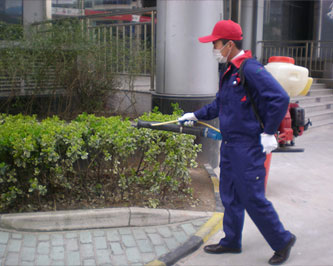 殺蟲滅鼠價格_北京殺蟲滅鼠公司