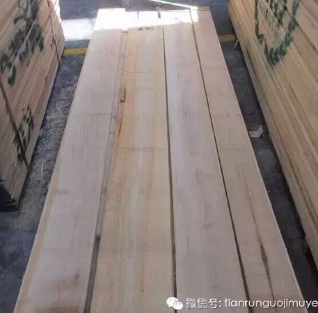 美狮贵宾会 - 首页