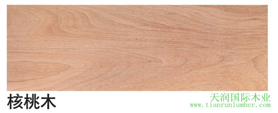 美狮贵宾会 - 首页