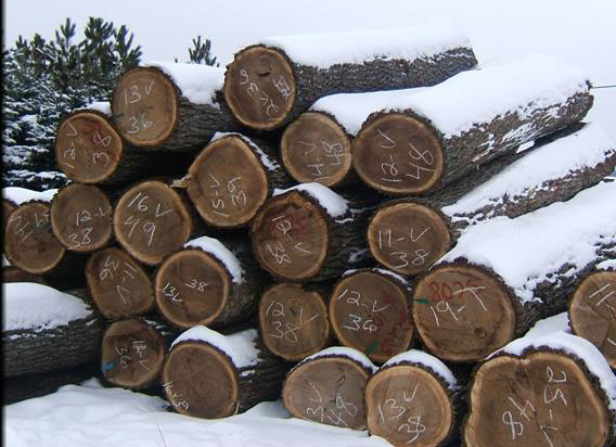 美狮贵宾会 - 首页