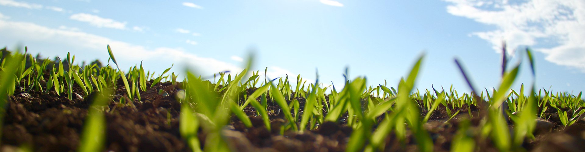 开元网页版登录入口