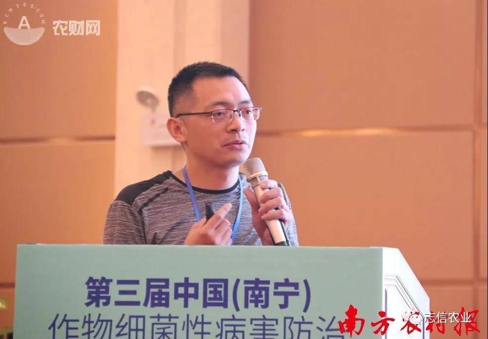 老树开新花，旧铜新用法