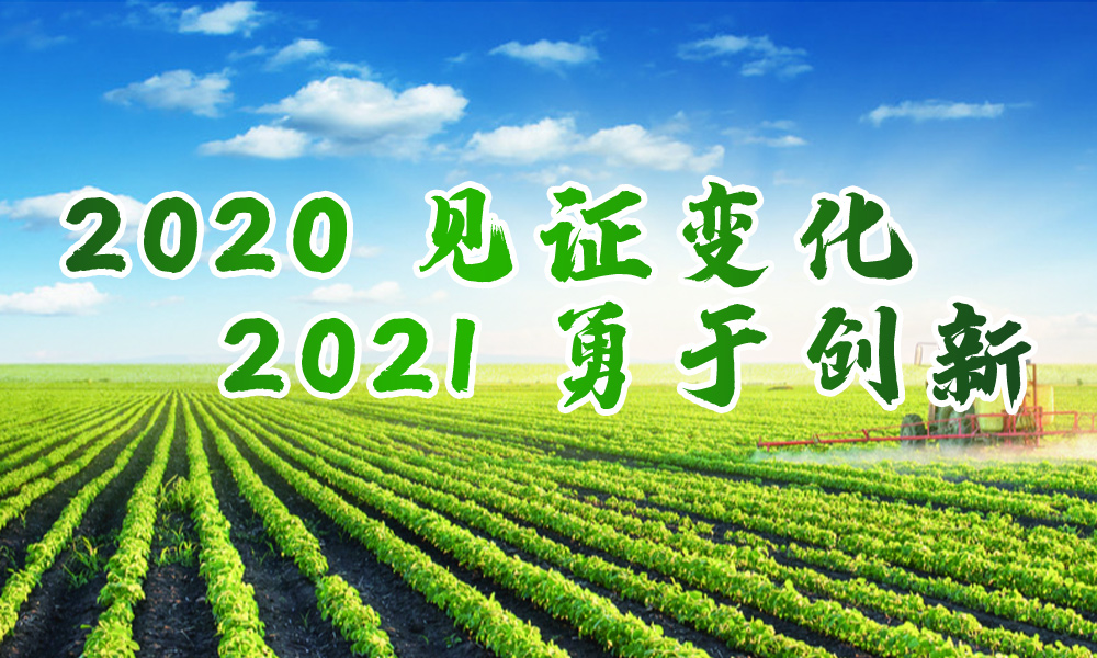 2020，见证变化；2021，勇于创新。