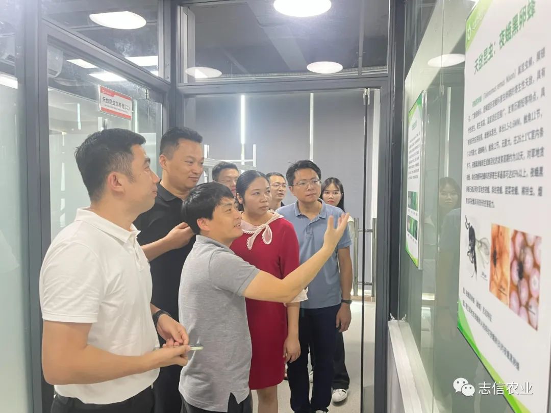 番禺区农业农村局产业发展科负责人一行莅临我司调研天敌昆虫繁育中心