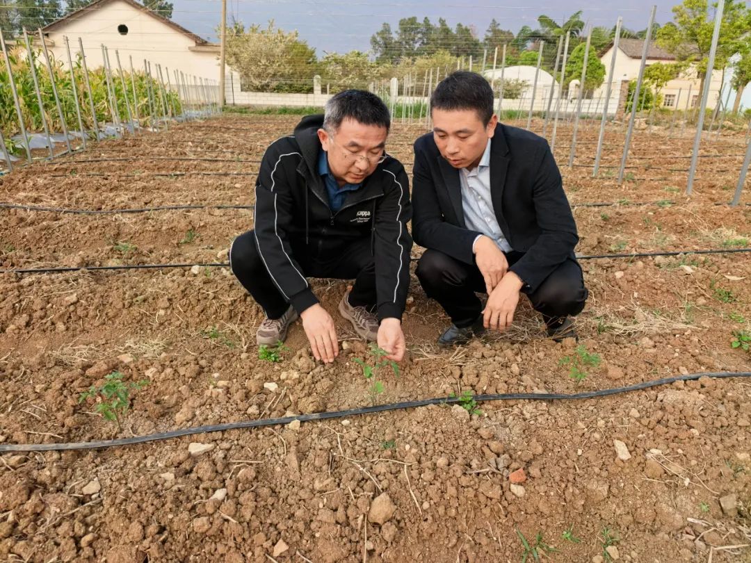 国家大宗蔬菜产业技术体系岗位科学家调研云南昆虫资源创新中心天敌昆虫繁育基地