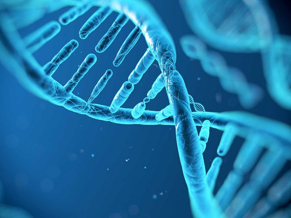计算生物信息学