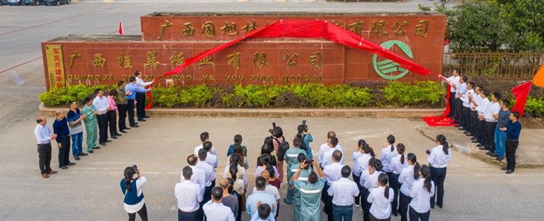 太阳成集团tyc7111cc(中国)有限公司官网