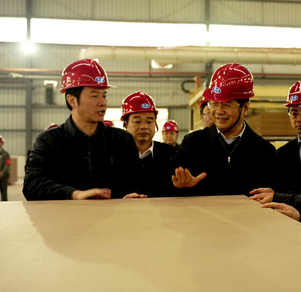 2012年12月，时任国家财务部部长助理郑晓龙到五洲公司调研