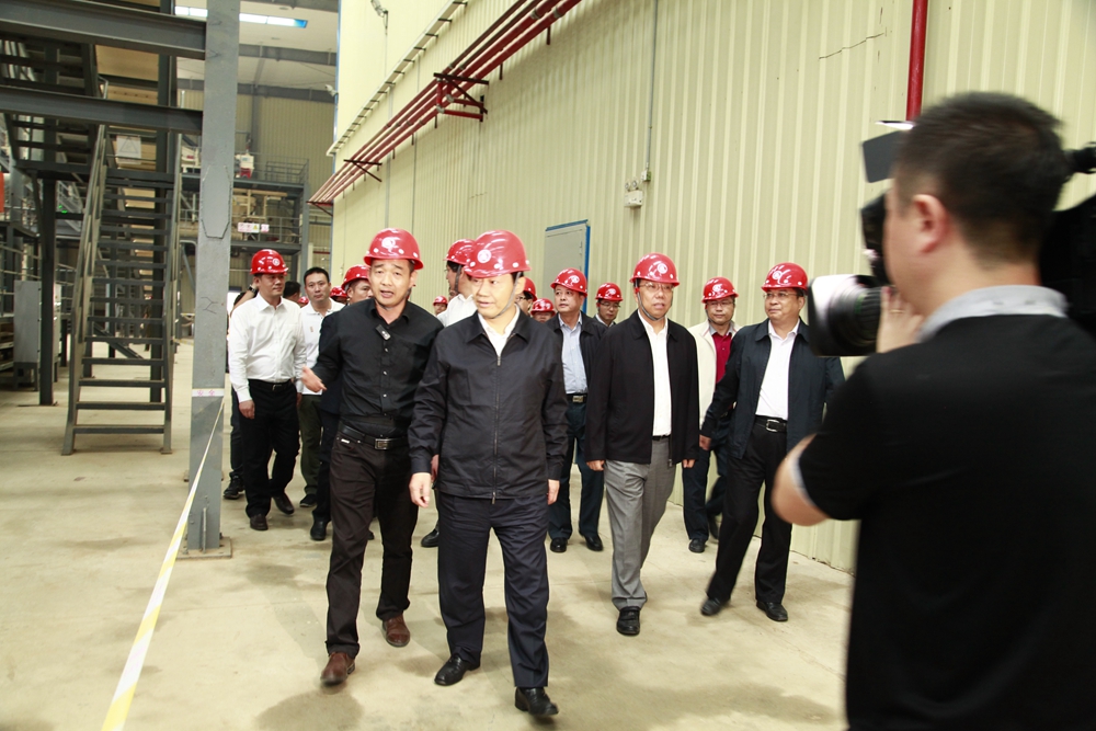 2016年10月，自治区党委书记彭清华（前排左二）到都庞岭公司视察