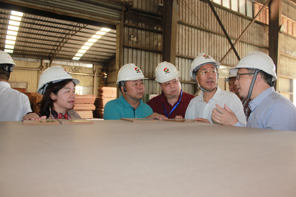 2018年11月8日，中国林场协会会长、原国家林业局总工程师姚昌恬（右2）到国旭五洲公司考察调研
