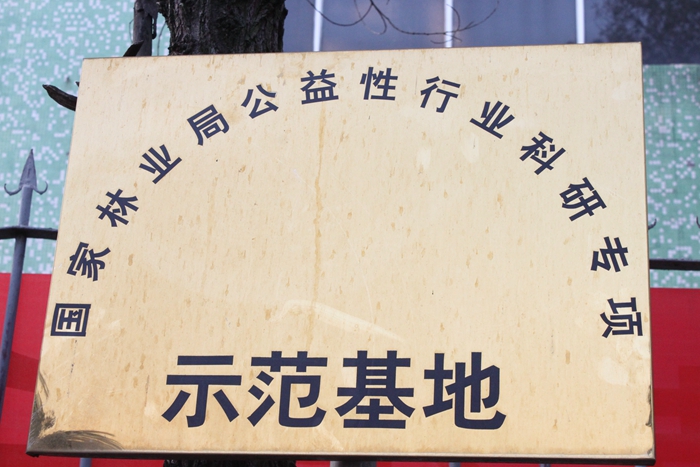 国家林业局公益性行业科研专项树模基地