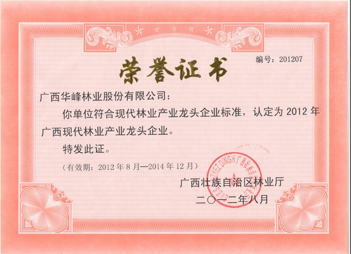 广西现代林业工业龙头企业
