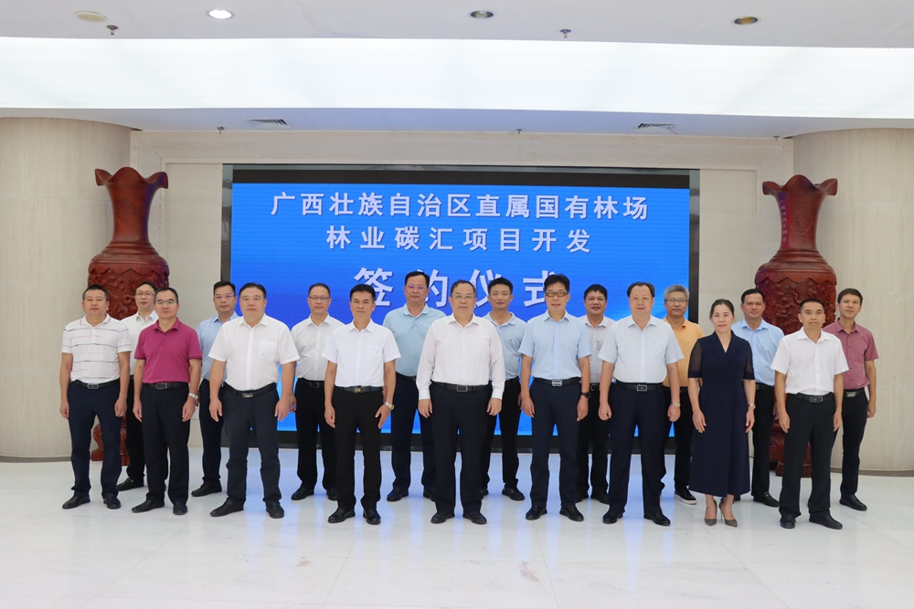 林业碳汇开发