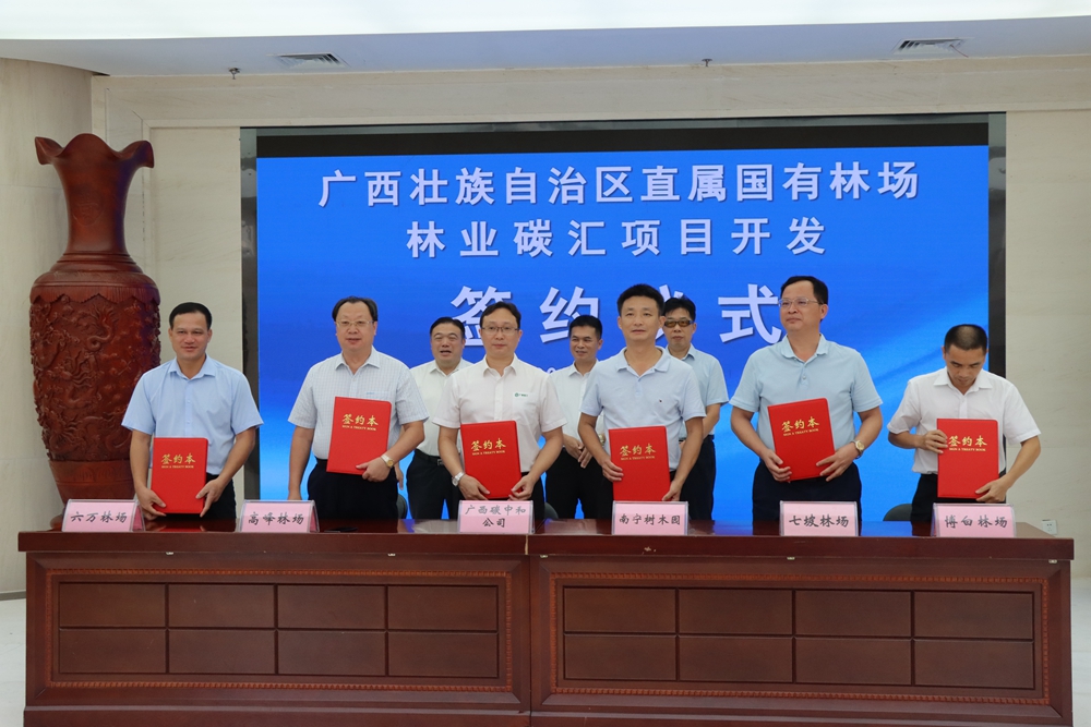 林业碳汇开发