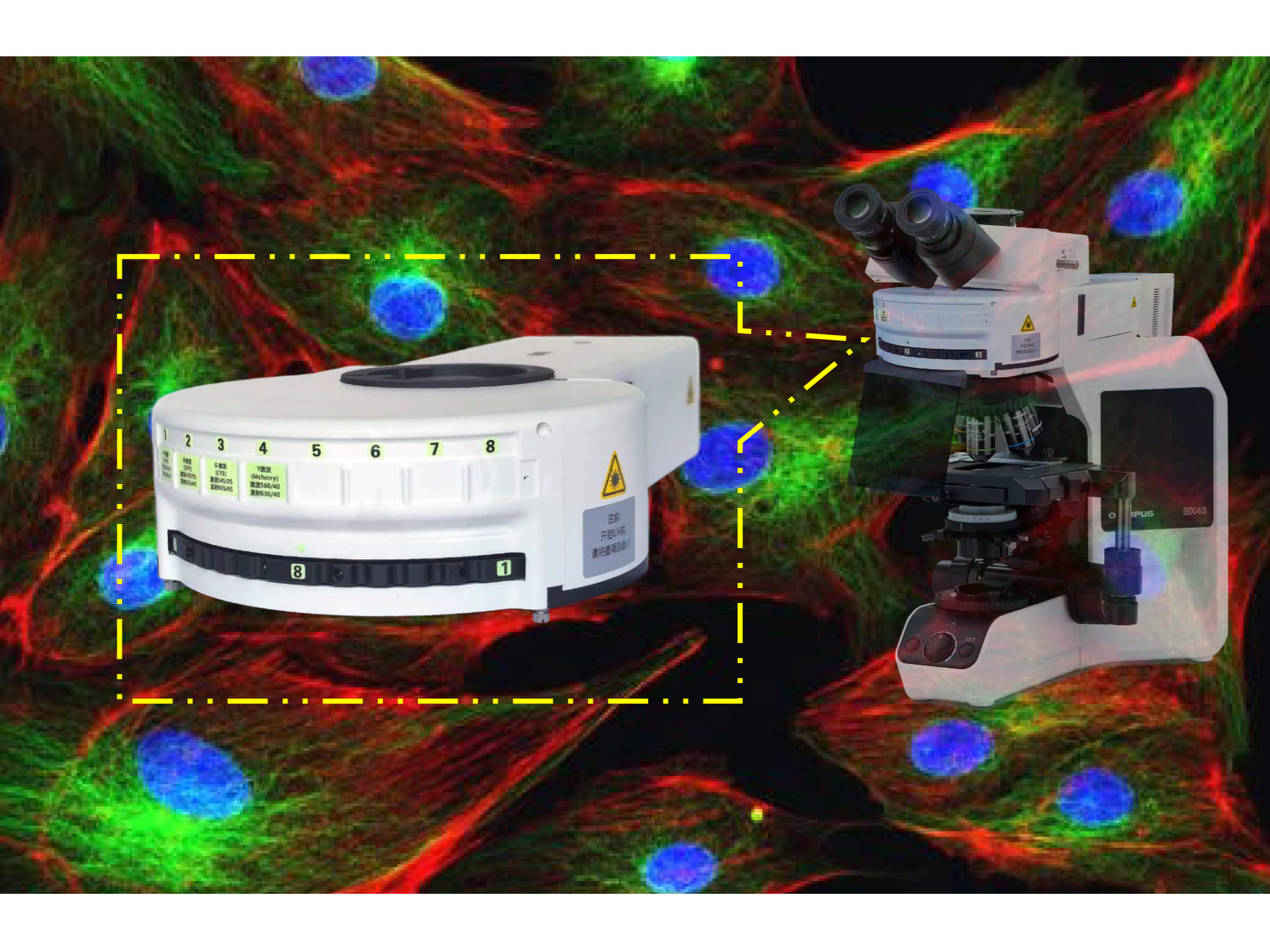 LED荧光模块(附件)-膜片钳系统Eclipse FN1显微镜实现荧光观察的应用