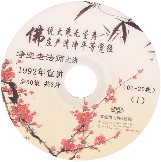 佛说 大乘无量寿经 1992年 全60集 