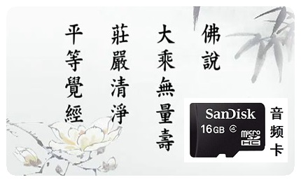 细讲无量寿经  共188集