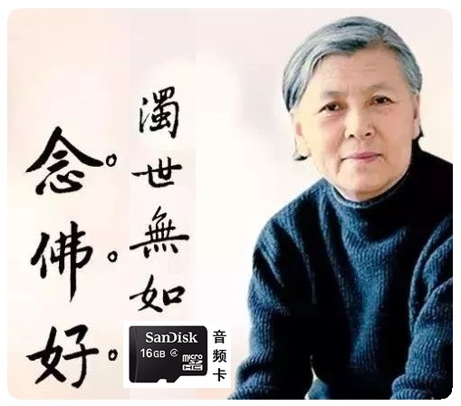 刘素云居士 经教